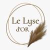 le.lyse.dor