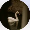 wmon.1_9