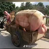 penis.evgeniy