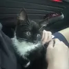 itsokimokitsok
