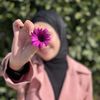 designeramal3