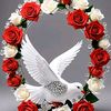 khalifaaali195gmail.com
