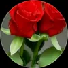 zainap20005