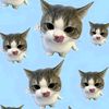khannnz04