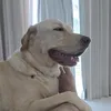 wallace.kleber.ca