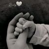 ashrafmohamed8213