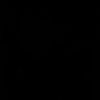 analy2251