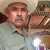 armando.basulto