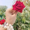 sapna2202