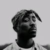 mikemalucooo8