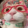 _____truwi.1