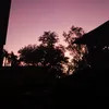 mnltjasssss