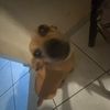aclv_25