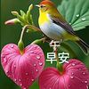 user9808001863581