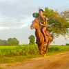 🐴 Ye Man 🐴(နတ်တလင်းသား)