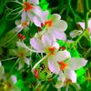 .md.aslam3