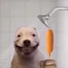 ubomrjurky5