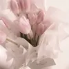 diana.hehehe