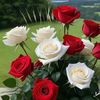 magd.abdala