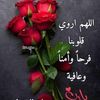hamida_bdr