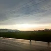bo.minh046