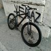 ninja.3800