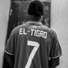 eltigro.king