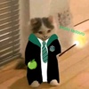 _your.local.slytherin.1_