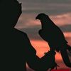 noory_al_