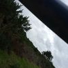 shonnie253