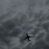 mamed_9955