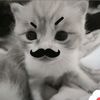 nathaniacantikaa_