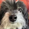 zuri_20111
