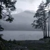 markshoking7