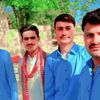 sindhibughio0