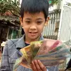 tngkhutthanh