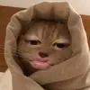 xxy_fahhxsz