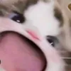 beomegames