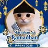 muhammad.fauzi3447