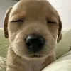 eatluvsiez
