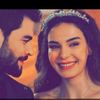 tarinasediqi