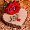 user41735953303721