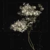 lunar.siner