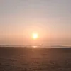 meredith_h_1