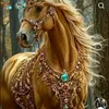 nour036956