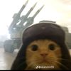 alex.leopardo