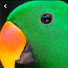 uesr.com8
