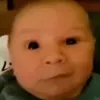 memes_daily