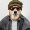 tiktokrizzler8