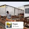 canario3426